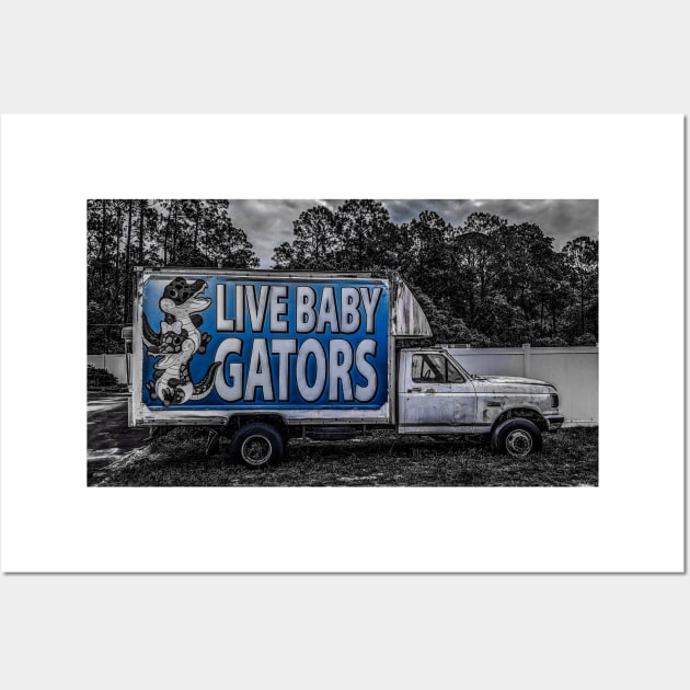 Florida Wall Art by goldstreet